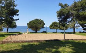 Family Bungalow Pineta